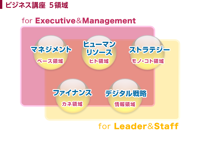 �r�W�l�X�u�� 5�̗̈�