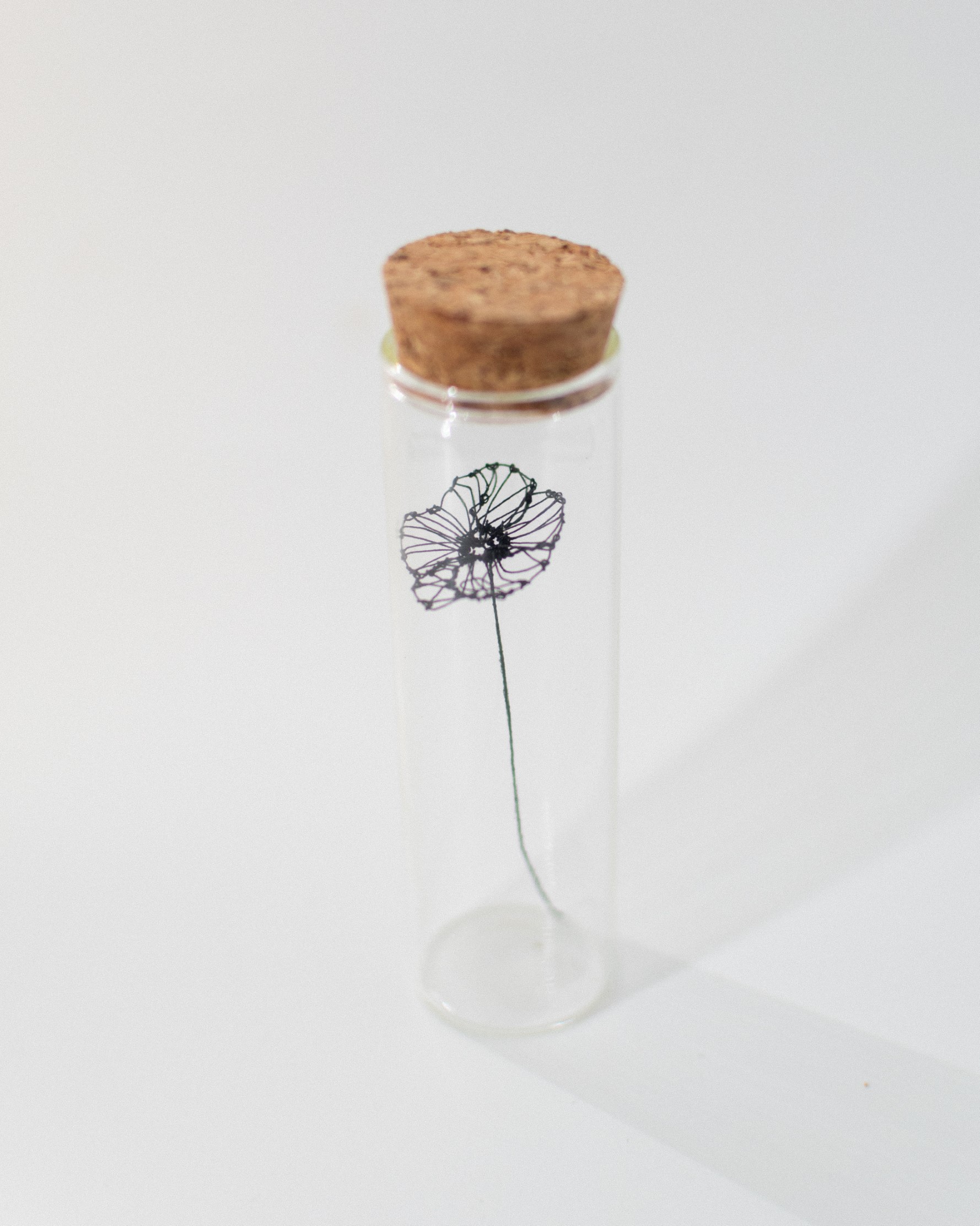 DSC_0928 (�J�X�^��).jpeg