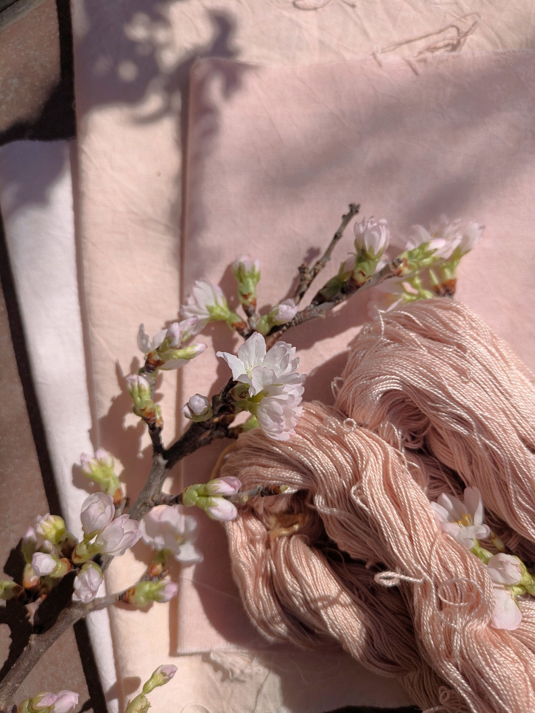 HP�p ���ؐ�_��.jpg