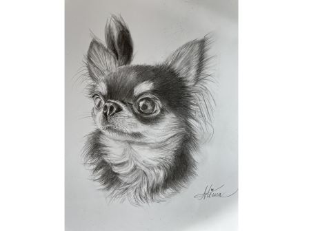 �ʐ^�����ɉ��M��