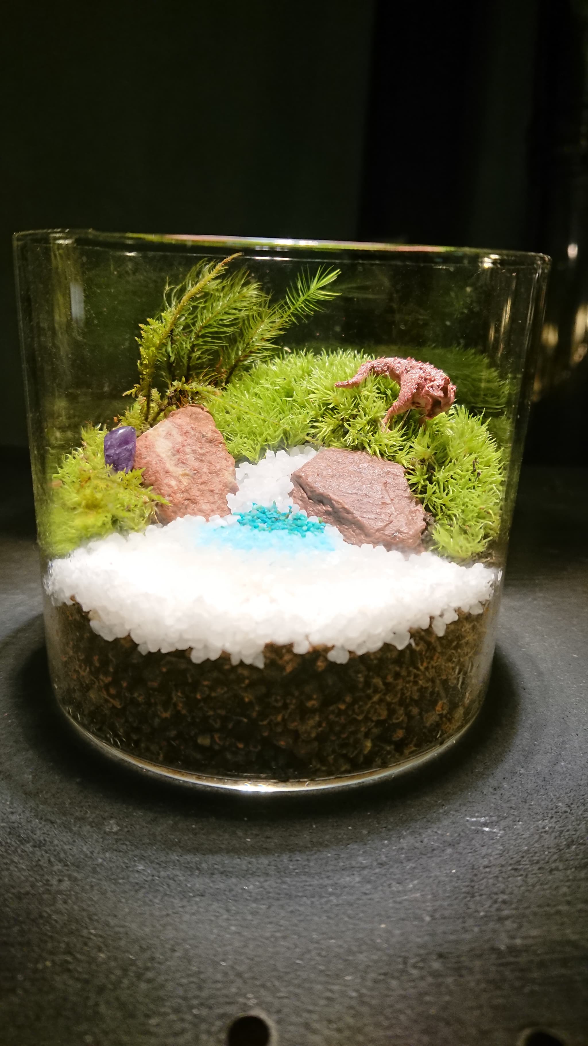 �����̑ۃe�����E����� 3/19(��)