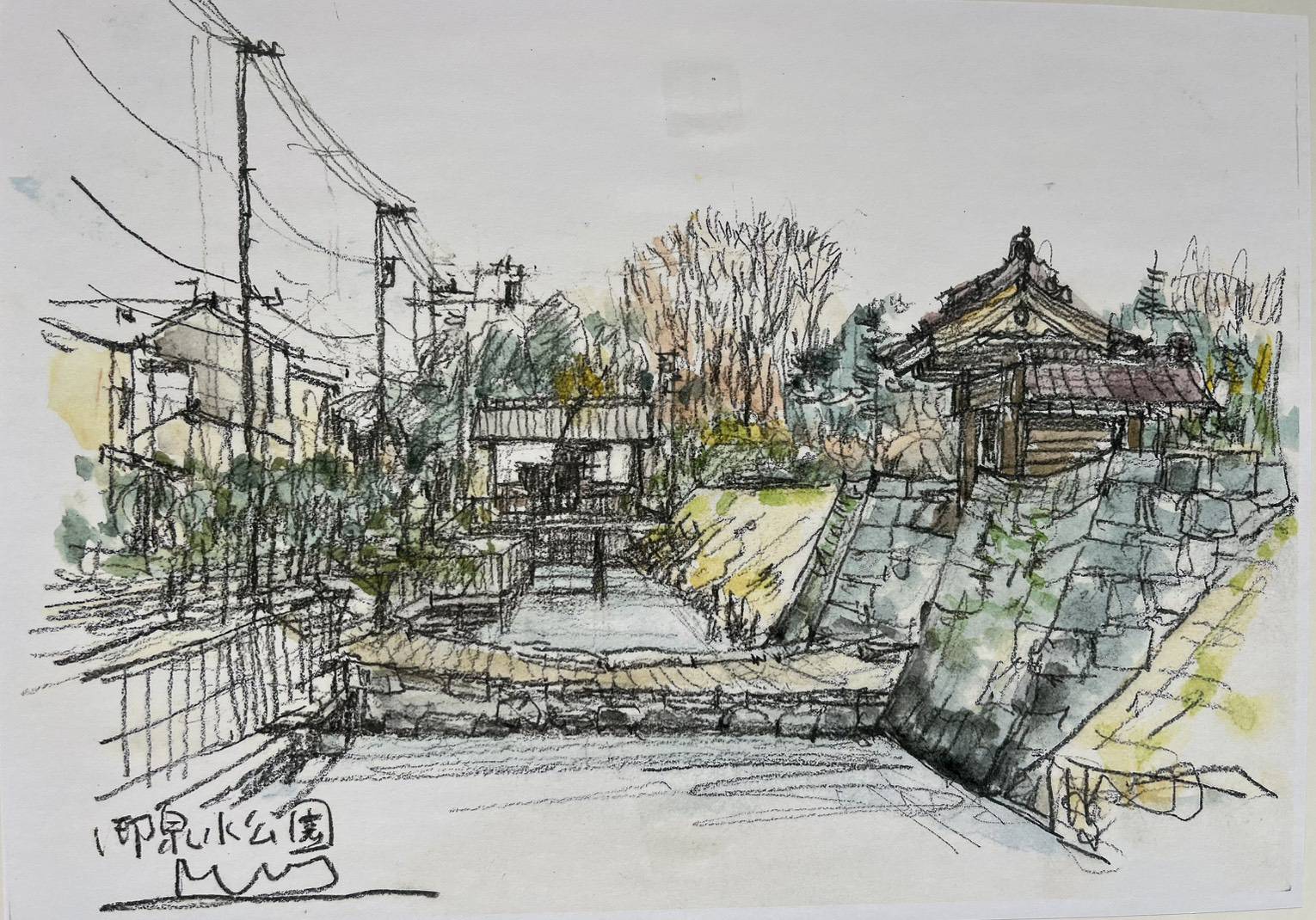 �₳�������i�X�P�b�`�̊�b�@6/3(��)�`�S4��