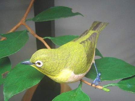 京都新聞文化センター