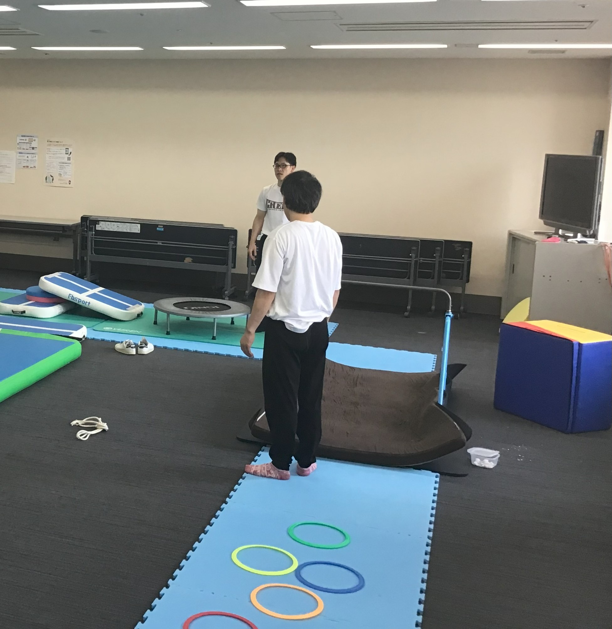 ���ǂ��̑�����