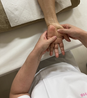 �y1/17�E31�E2/14�z�\�V�I�G�X�e�e�B�b�N����u���E�S3��