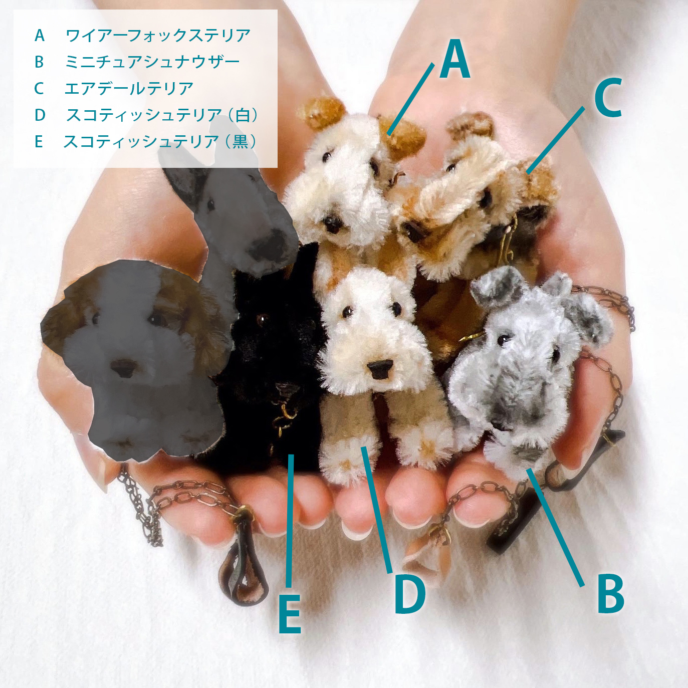 sample01.jpg