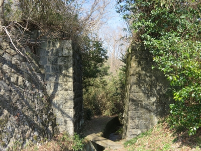 88755.JPG